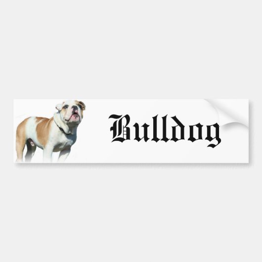 bulldog bumpersticker (Voorkant)