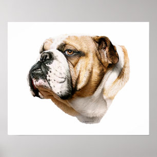 Bulldog Bust Poster