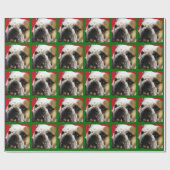 BULLDOG CADEAUPAPIER (Vlak)
