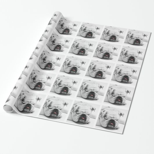 Bulldog Cadeaupapier (Uitgerold)