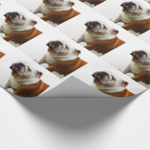 Bulldog Cadeaupapier (Hoek)