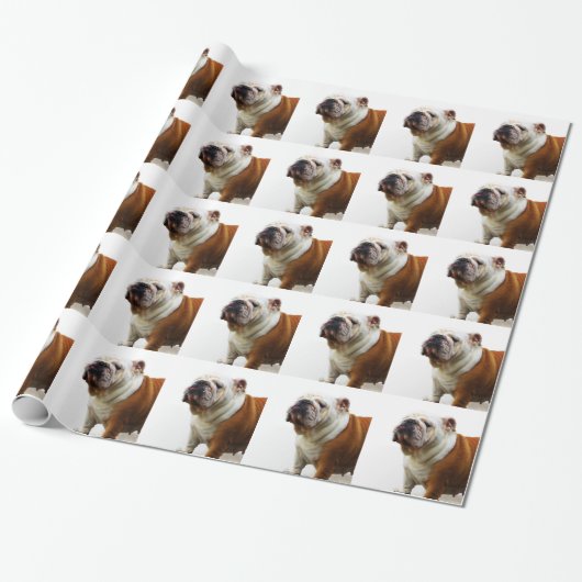 Bulldog Cadeaupapier (Uitgerold)