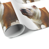 Bulldog Cadeaupapier (Rol Hoek)