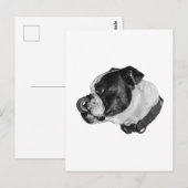 Bulldog Calm Mail Briefkaart (Voorkant / Achterkant)