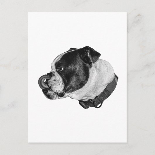 Bulldog Calm Mail Briefkaart (Voorkant)
