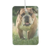 Bulldog Car Air Freshener Luchtverfrisser (Voorkant)