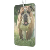 Bulldog Car Air Freshener Luchtverfrisser (Links)
