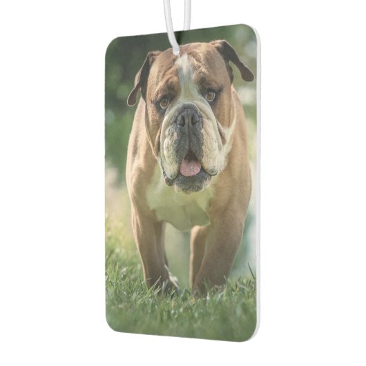 Bulldog Car Air Freshener Luchtverfrisser (Links)