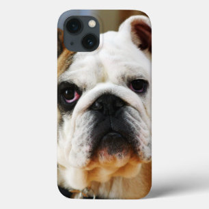 Bulldog iPhone 13 Hoesje