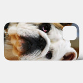 Bulldog Case-Mate iPhone Case (Achterkant (horizontaal))
