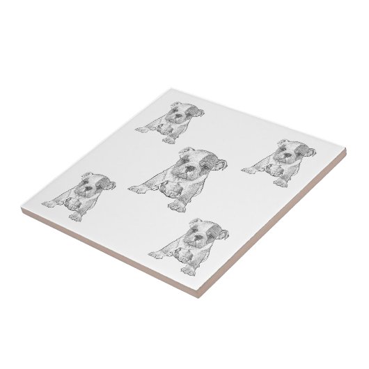 Bulldog dambord potlood tegeltje (Zijkant)