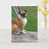 Bulldog, denk aan jou kaart (Gele Bloem)