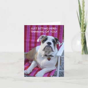 BULLDOG DENKT AAN JE BLANCO KAART! KAART