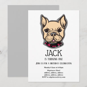 Bulldog, dog, pet verjaardagsfeestdag kaart