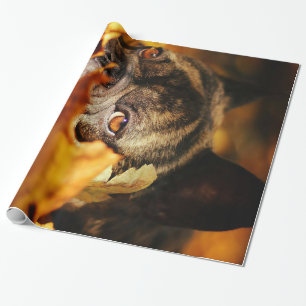 Bulldog Dog Schattige Engels Bulldog Lover Gift Cadeaupapier