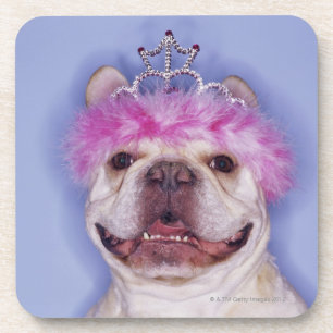 Bulldog draagt tiara bier onderzetter