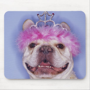 Bulldog draagt tiara muismat