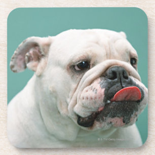 Bulldog Drankjes Onderzetter
