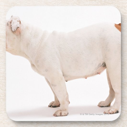 Bulldog Drankjes Onderzetter (Voorkant)