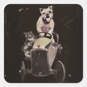 Bulldog Drives a Car 1933 Vierkante Sticker