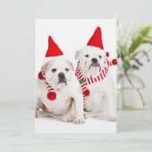 Bulldog Elves (Staand voorkant)