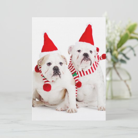 Bulldog Elves (Staand voorkant)