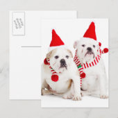 Bulldog Elves Briefkaart (Voorkant / Achterkant)