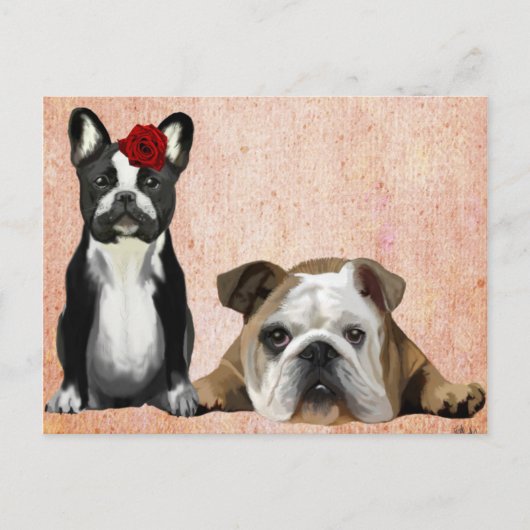 Bulldog en English Bulldog Briefkaart (Voorkant)