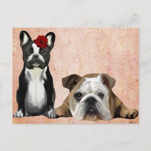 Bulldog en English Bulldog Briefkaart