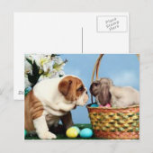 Bulldog en konijn briefkaart (Voorkant / Achterkant)