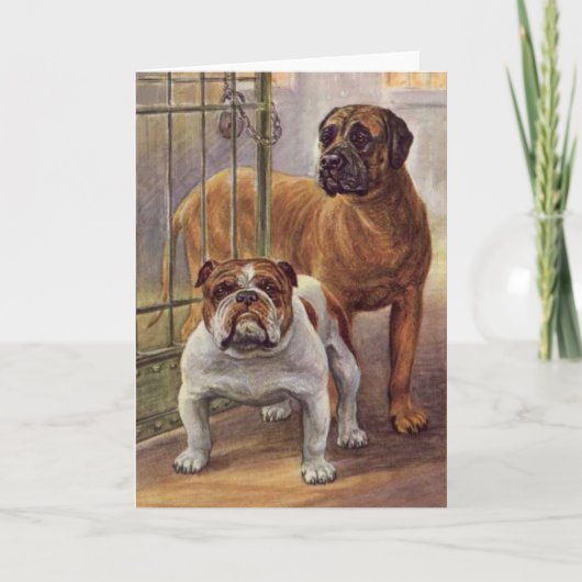 Bulldog en Mastiff  Wenskaart Kaart (Voorkant)