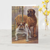 Bulldog en Mastiff  Wenskaart Kaart (Gele Bloem)