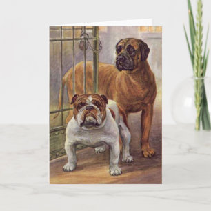 Bulldog en Mastiff  Wenskaart Kaart