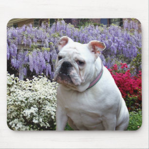 Bulldog- en Wisteria-muisblok Muismat