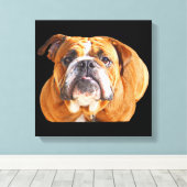 Bulldog Face - English Bulldog, Brown Canvas Afdruk (Insitu (Houten vloer))