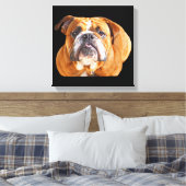 Bulldog Face - English Bulldog, Brown Canvas Afdruk (Insitu (Slaapkamer))