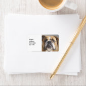 Bulldog Face - English Bulldog, Brown Etiket (Insitu)