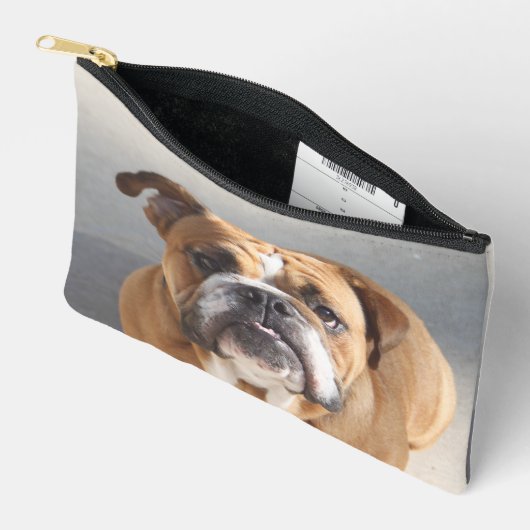 Bulldog Face - English Bulldog, Brown Etui (Open)