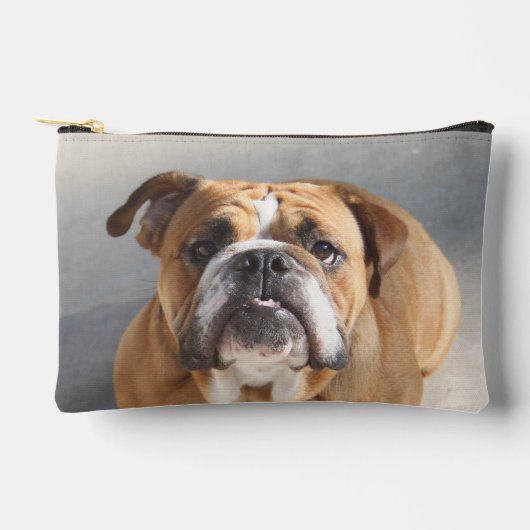 Bulldog Face - English Bulldog, Brown Etui (Voorkant)