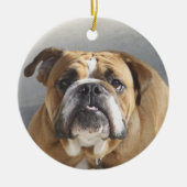 Bulldog Face - English Bulldog, Brown Keramisch Ornament (Voorkant)