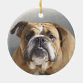 Bulldog Face - English Bulldog, Brown Keramisch Ornament (Achterkant)