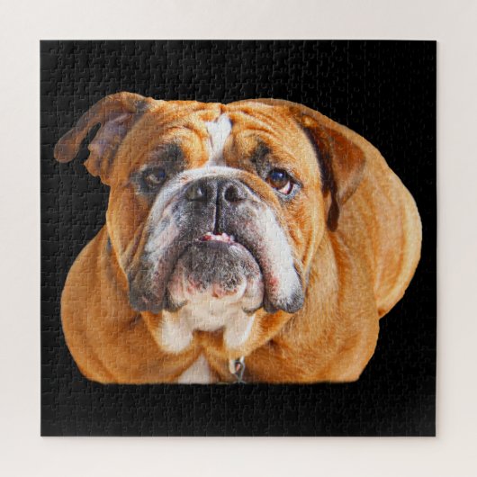 Bulldog Face - English Bulldog, Brown Legpuzzel (Verticaal)