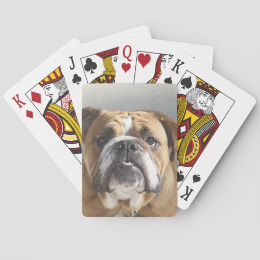 Bulldog Face - English Bulldog, Brown Pokerkaarten (Achterkant)