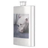 bulldog flacon (Links)