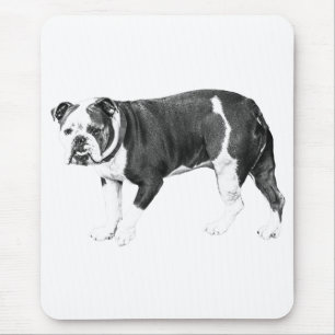 Bulldog Focus, Stabiele Kunst Muismat