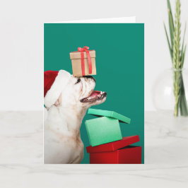 BULLDOG FOLDED CHRISTMAS Wenskaart Kaart