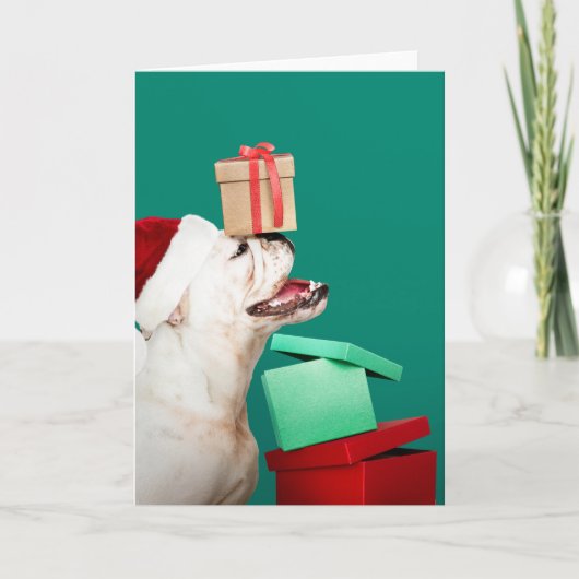 BULLDOG FOLDED CHRISTMAS Wenskaart Kaart (Voorkant)