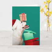 BULLDOG FOLDED CHRISTMAS Wenskaart Kaart (Gele Bloem)
