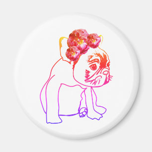 Bulldog Franse buldog puppy zoete hond magneet