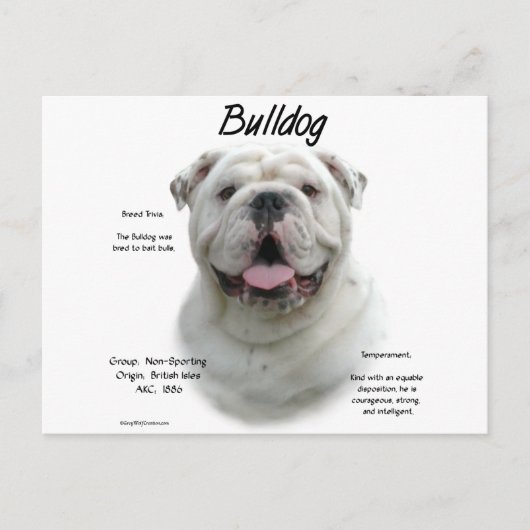 Bulldog Geschiedenis Ontwerp Briefkaart (Voorkant)